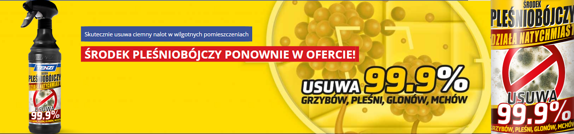 Tenzi Środek Pleśniobójczy